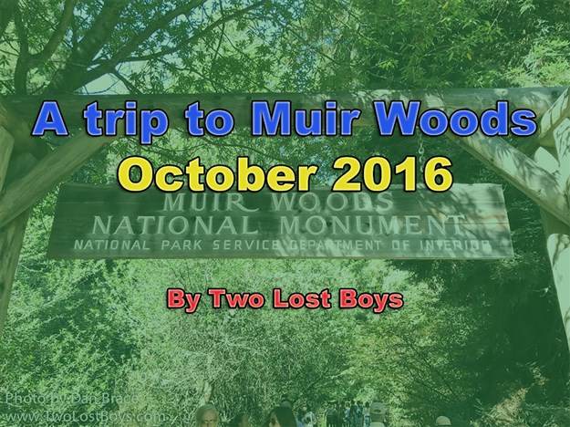 A trip to Muir Woods, October 2016